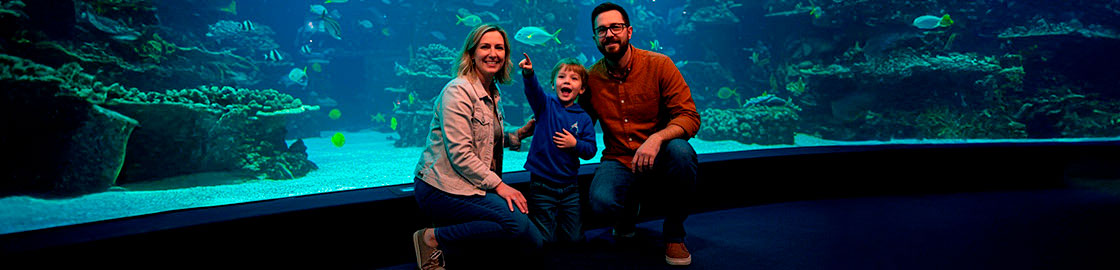 Foto-de-niño-entre-papá-y-mamá-en-un-acuario-señalando-emocionado-los-peces