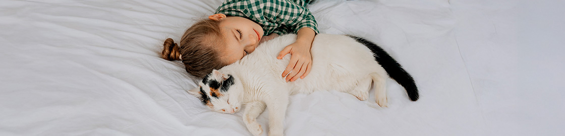 Foto de una niña acostada en su cama, abrazando cariñosamente a un gato esponjoso mientras este duerme.