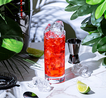 Foto de un coctel Pink Gin en una mesa de mármol con hielos, una rodaja de limón y un mezclador a su lado, así como plantas decorativas en los costados