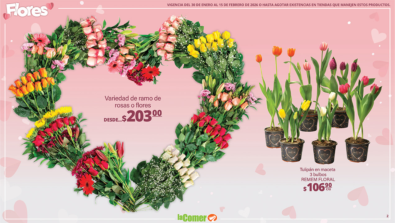 Folleto la comer Pagina 2